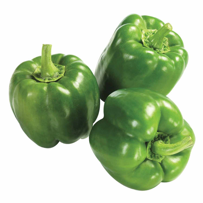 Green Bell Pepper 1kg
